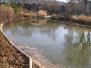  petit plan d'eau dans le parc Bercy, 12e arrondissement